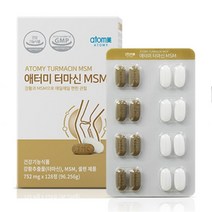 애터미 터마신 MSM 128정, 725mg, 2개