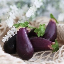 미니 가지 모형 5P (7cm)