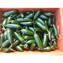 퍼팩트 할라피뇨 장아찌 피클용 아삭이고추 500g, 1kg, 1개