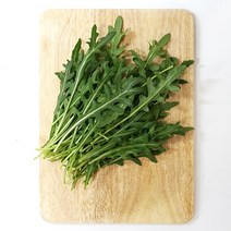 와일드루꼴라 100g 베이비루꼴라 ( 국내산 ), 단품