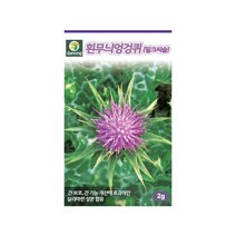 (DN) 흰무늬엉겅퀴 씨앗(2g)