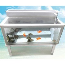 대형 수조 거북이 거실 수족관 사각 물멍 조경 반수생