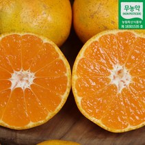 제주 무농약 감귤 5kg 10kg 제주귤 무농약귤 서귀포귤 햇귤 조생귤 극조생귤 제주감귤 제주발송