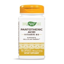 네이처스웨이 판토텐산 비타민 B5 500mg 100캡슐 피지분비 피부, 기본, 1개, 100개