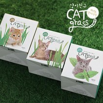 꿈쟁이 저면관수화분 고양이 캣그라스 키우기 3종 밀, 1개