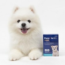 펫프닝 페노비스 강아지 피부 유산균 30포, [0001]기본상품