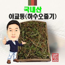 국내산 야교등(하수오줄기) 300g/100g (경북영천) 수오등 구진등, 300g