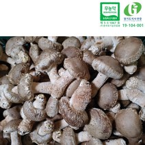 송이향버섯 생 표고버섯 가정용 미니 1kg