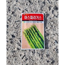 아스파라거스 종자/50립 내외