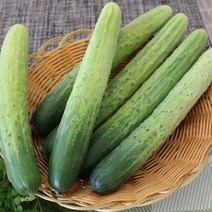 백오이(상) 백다다기 1kg/3kg/5kg 자연대로팜웨이, 백오이(상)3kg