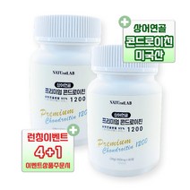 프리미엄 콘드로이친 1200 상어연골 콘트로이친 콘드로이틴 뼈 연골 무릎 관절, 01. 1박스 x 60정 (1개월분)