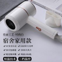 벽걸이 가정용 빠른 학생 모텔 캐릭터 학교 간편 객방 샤오미드라이기, T01-흰색