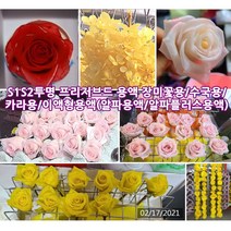 1리터 알파용액(탈수 탈색보조 성형 안정제) / 알파플러스(표백) 옵션선택 [드림팜웰] 이액형 프리저브드 용액 (특허정품), S1S2수국용 투명용액