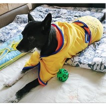 아노아노 양면타올가운 대형견수건 대형견가운, 그린&블루(대형견용), 옵션선택, 옵션선택