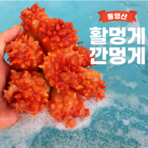 통영 산지직송 깐멍게 활멍게 500g 자연산 제철 손질 멍게, 활멍게 2kg