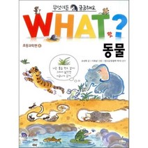 동물, WHAT SCHOOL