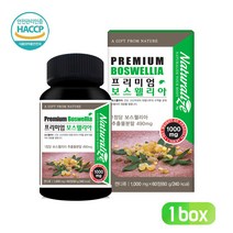 프리미엄 보스웰리아 추출물 분말 농축 캡슐 고함량 보스웰릭산 손가락 손목 무릎 관절 연골 건강 식품 상어연골 울금 콜라겐 비타민D 해조 칼슘 함유 인도산 보스웰리아정 알약 형태, 1Ea, 프리미엄 보스웰리아정 60C