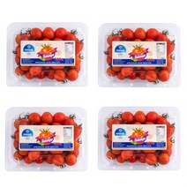 [엄지척농산물] 스테비아 방울토마토 정품_품질보장!, 2팩, 500g