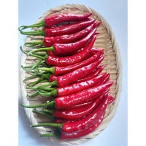 국내산 신선한 홍고추 500g, 1kg