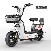 전기자전거 스쿠터 2022 전동자전거 배터리탈착 장거리용 2인용 팻바이크 바이크 전동 출퇴근, 05, 01 48V_01 12AH