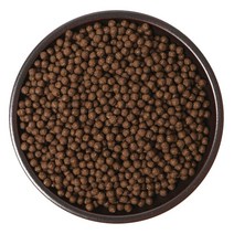 노니환 400g 1kg 노니추출분말 500g 1kg 노니, 없음, 노니 환 400g