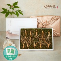6~10년근 국내산 산양삼 산삼 산양산삼 장뇌삼 장뇌산삼, 8년근 프리미엄 10뿌리 (1상자)