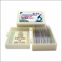 영구 프레파라트 원생동물(10pcs)