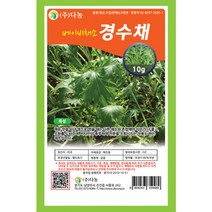 베이비(샐러드)경수채 씨앗10g