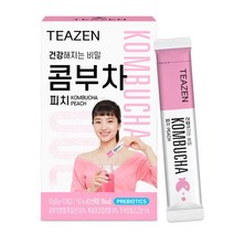 티젠 콤부차 피치 분말 10T