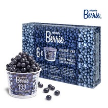 로버츠베리에 야생 빌베리 100ml x 6ea, 단품, 단품