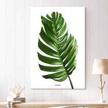 더 아트 컴퍼니 식물그림 플랜테리어 힐링 액자 33종, 캔버스액자 3호 (27.3x16cm)