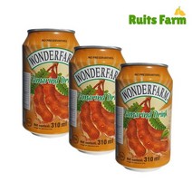 (주)푸른푸드 베트남 원더팜 타마린드음료 310mlX24캔, 310ml, 24개