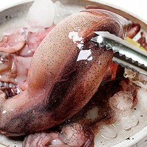 강원도오징어 동해오징어 생물오징어 활오징어, 오징어 3~6마리