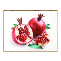 [(주)조아트] 복을 부르는 풍수 인테리어 액자 퓨어석류, 액자:액자_퓨어석류, 상세 설명 참조