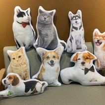 강아지 고양이 포토쿠션 반려동물 DIY 3D 맞춤 제작 쿠션 포토인형, 고양이3