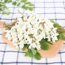 에밀리펫 토끼 친칠라 기니피그 햄스터 아카시아 간식, 40g, 1개