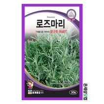로즈마리 30립/ 허브씨앗 허브씨 허브키우기 로즈마리씨앗 로즈마리씨