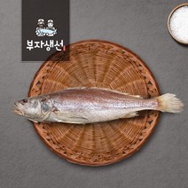 반건조생선 제수용 민어조기 소 중 대 특대 망미중앙시장 김명욱, 민어조기46cm1마리(특대)