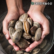대한민국농수산 자연산 생물 왕 바지락1kg, 1개