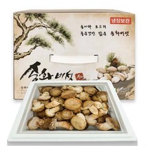 [젊은농부] 송화버섯 1키로 일반형 선물세트 버섯효능 요리, 최고급형, 1개