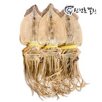 신건호멸치 동해안 당일바리오징어 / 국산 마른오징어 건조오징어, 10마리(중), 600g 내외