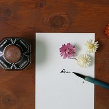 [RA㏓] 디어 캘리그라퍼 피엽서 디자인 문구 카드 편지 팬시 피카드 ▷_§Ea, 《본상품》