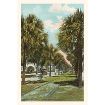 (영문도서) Vintage Journal Palmettos Jacksonville Florida Paperback, Found Image Press, English, 9781669517801