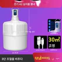 Ciliver 태양광 LED 충전 전구 야외 노점 야시장등 조명 풍선등 캠핑 이동식 텐트 비상등, 1개, ZP004 일렉트릭 42 심