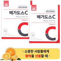 고함량 비타민C 고려은단 메가도스C 3000 60포 (2박스) - 영국산 비타민씨 분말 가루 스틱 만성 피로 개선 항산화 20대 30대 40대 50대 60대 70대 80대 매가도스, 2개