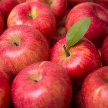 고당도 껍질채 먹는 정품 꿀 사과 5kg 당일수확, 정품 사과 5kg (16~18과), 1개
