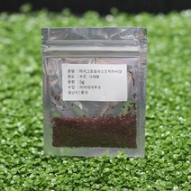 씨앗수초 하이그로필라 스트릭타 5g.미미네아쿠아, 단일속성