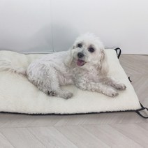 해피나비 강아지 고양이 겨울 방석 쿠션, 해먹 천(레드)