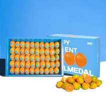 [추석선물] 제주 산지직송 감귤 황금향 선물세트 반반세트, 2.5kg, 제주 감귤 (선물세트)