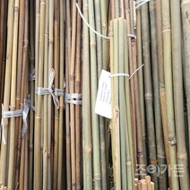[조이가든] 대나무 단간 지주대- 10개묶음 (180cm 210cm 선택), H180cm